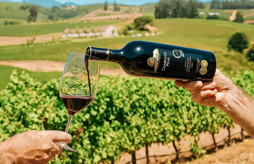 A uva da África - Pinotage