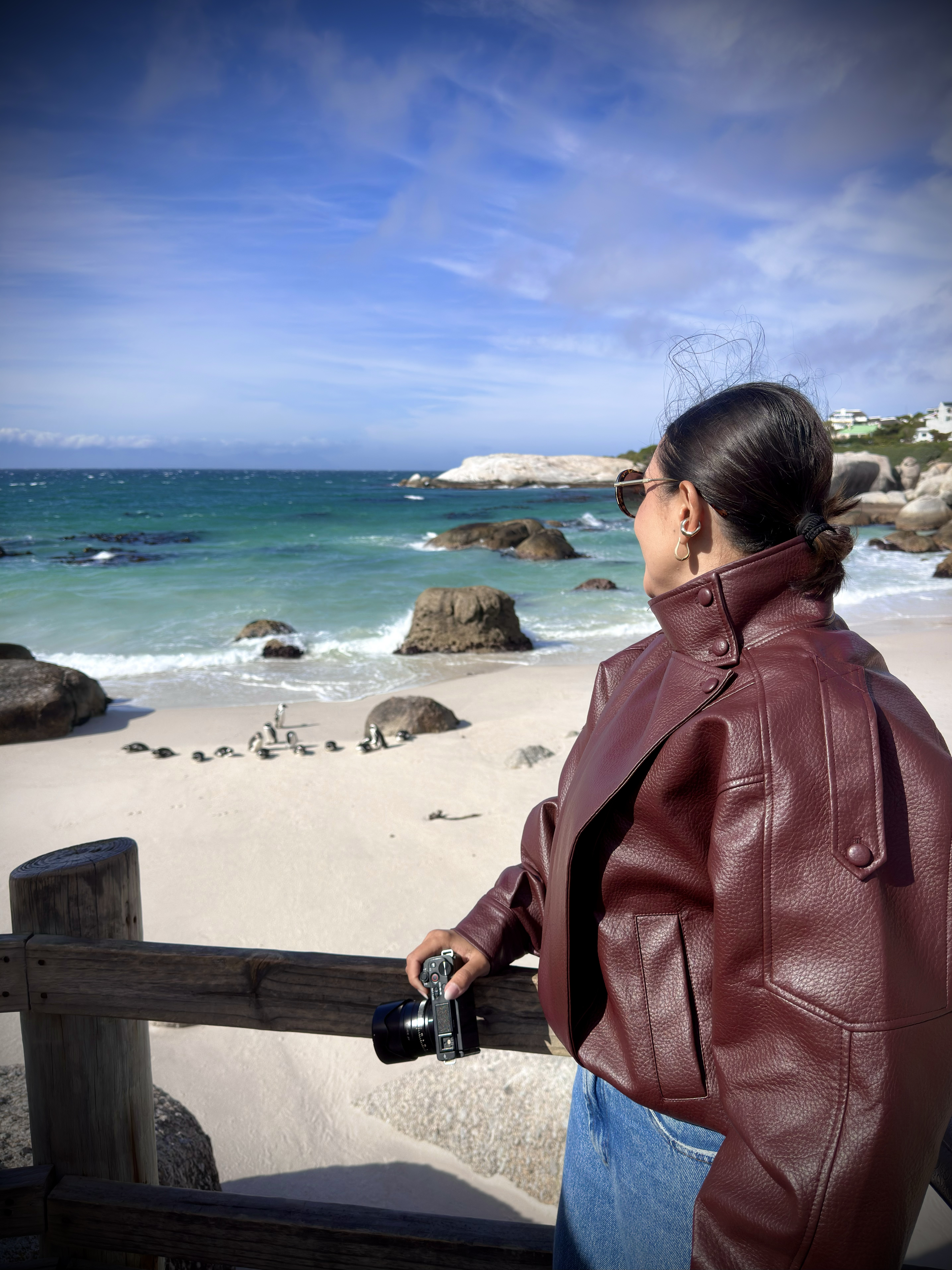 Sim, você vai dividir a praia com pinguins